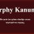 murphy kanunları